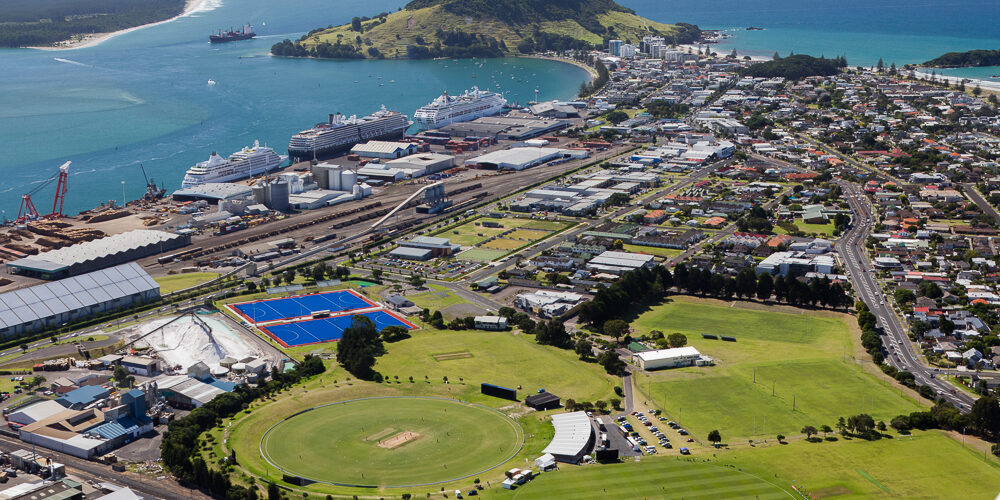 Cricket at Bay Oval Aerial