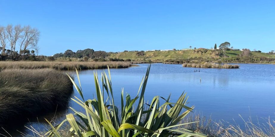 wetland